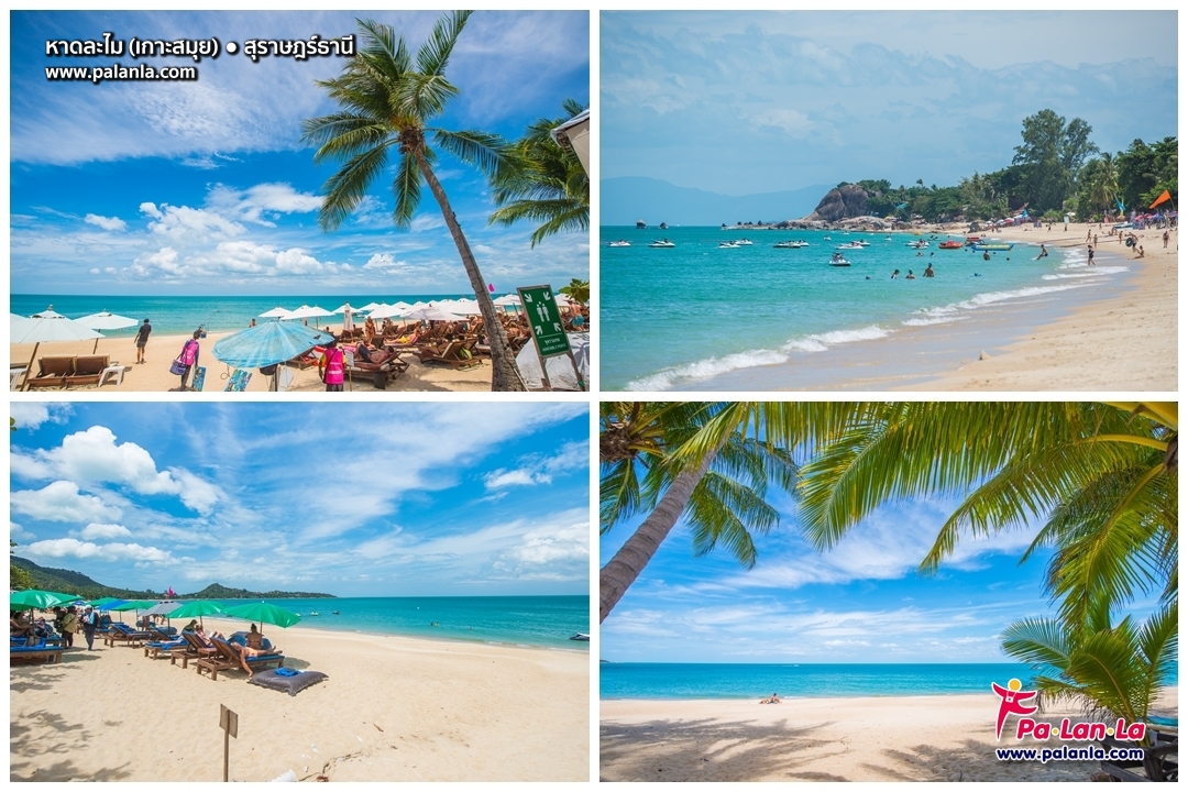 11 Travel Destination in Samui Island